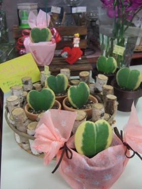 バレンタインがもうすぐですね。｜「くらよし花幸」　（鳥取県倉吉市の花キューピット加盟店 花屋）のブログ