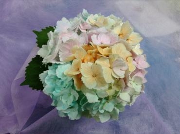 はやくも　お盆になりました｜「くらよし花幸」　（鳥取県倉吉市の花キューピット加盟店 花屋）のブログ