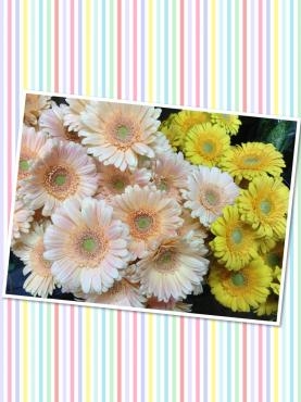 秋の装い｜「くらよし花幸」　（鳥取県倉吉市の花キューピット加盟店 花屋）のブログ