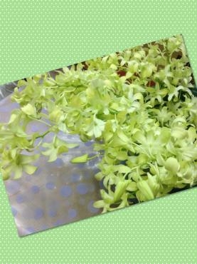 台風が熱帯低気圧になりました。｜「くらよし花幸」　（鳥取県倉吉市の花キューピット加盟店 花屋）のブログ