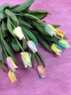 春の送別用花束のご注文いただきました＾＾｜「くらよし花幸」　（鳥取県倉吉市の花キューピット加盟店 花屋）のブログ